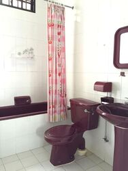 Glasgow Road (D19), Terrace #566224301